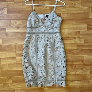 Bardot nude Lace dress